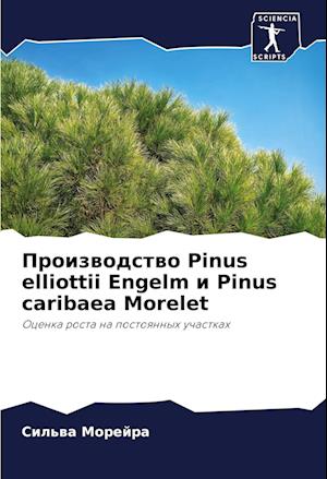 Proizwodstwo Pinus elliottii Engelm i Pinus caribaea Morelet