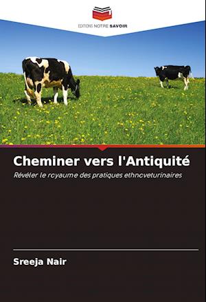 Cheminer vers l'Antiquité