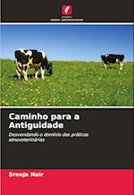 Caminho para a Antiguidade