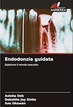 Endodonzia guidata