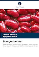 Stangenbohne