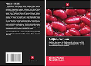 Feijão comum