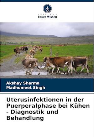 Uterusinfektionen in der Puerperalphase bei Kühen - Diagnostik und Behandlung