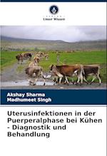 Uterusinfektionen in der Puerperalphase bei Kühen - Diagnostik und Behandlung