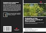 Evaluation of the antimicrobial activity of Pinus pinaster