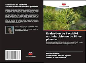 Évaluation de l'activité antimicrobienne du Pinus pinaster