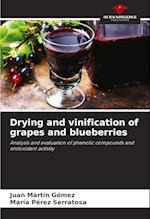 Drying and vinification of grapes and blueberries