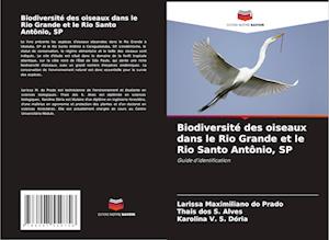 Biodiversité des oiseaux dans le Rio Grande et le Rio Santo Antônio, SP