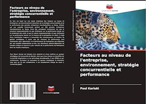 Facteurs au niveau de l'entreprise, environnement, stratégie concurrentielle et performance