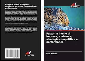 Fattori a livello di impresa, ambiente, strategia competitiva e performance