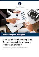 Die Wahrnehmung des Arbeitsmarktes durch Audit Experten