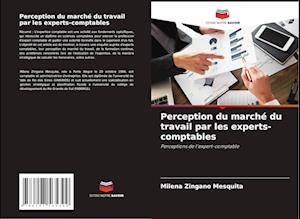 Perception du marché du travail par les experts-comptables