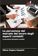 La percezione del mercato del lavoro degli esperti contabili