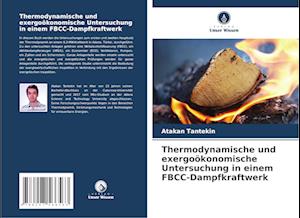 Thermodynamische und exergoökonomische Untersuchung in einem FBCC-Dampfkraftwerk