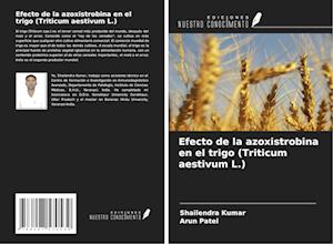 Efecto de la azoxistrobina en el trigo (Triticum aestivum L.)