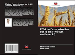 Effet de l'azoxystrobine sur le blé (Triticum aestivum L.)