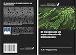 El mecanismo de supervivencia de Deinococcus