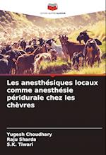 Les anesthésiques locaux comme anesthésie péridurale chez les chèvres