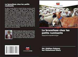 La brucellose chez les petits ruminants