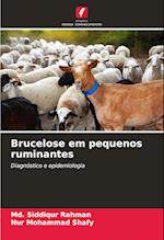 Brucelose em pequenos ruminantes