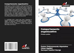 Comportamento organizzativo