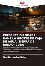 PRESENCE DU GUABA DANS LA GROTTE DE CAJA DE AGUA, SIERRA DE BANAO, CUBA