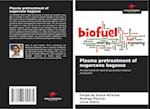 Plasma pretreatment of sugarcane bagasse