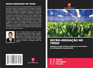 MICRO-IRRIGAÇÃO NO TRIGO