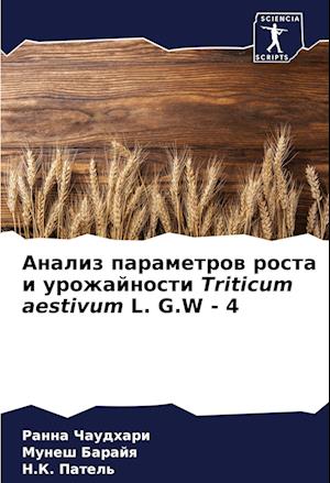 Analiz parametrow rosta i urozhajnosti Triticum aestivum L. G.W - 4