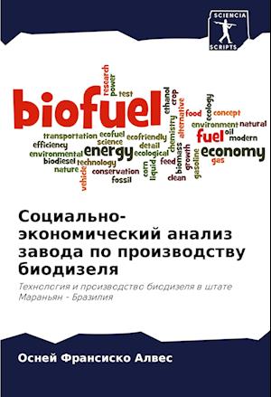 Social'no-äkonomicheskij analiz zawoda po proizwodstwu biodizelq