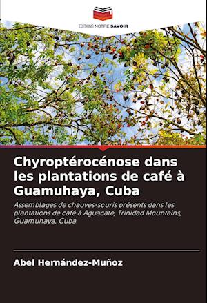 Chyroptérocénose dans les plantations de café à Guamuhaya, Cuba