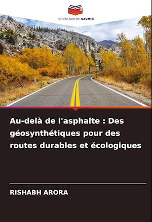 Au-delà de l'asphalte : Des géosynthétiques pour des routes durables et écologiques