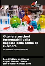 Ottenere zuccheri fermentabili dalla bagassa della canna da zucchero