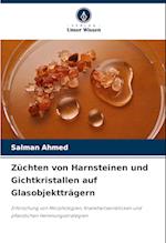 Züchten von Harnsteinen und Gichtkristallen auf Glasobjektträgern