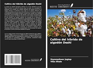 Cultivo del híbrido de algodón Deshi