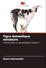 Tigre domestique miniature