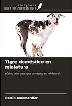 Tigre doméstico en miniatura