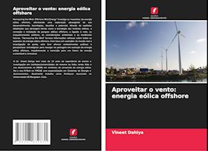 Aproveitar o vento: energia eólica offshore