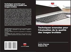 Techniques avancées pour l'évaluation de la qualité des images bruitées