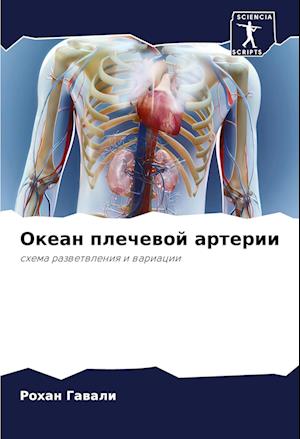 Okean plechewoj arterii