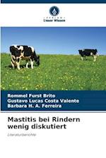 Mastitis bei Rindern wenig diskutiert