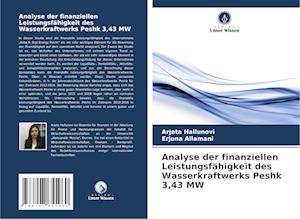 Analyse der finanziellen Leistungsfähigkeit des Wasserkraftwerks Peshk 3,43 MW