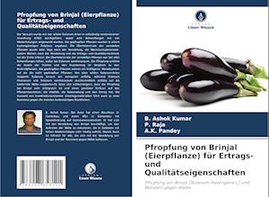 Pfropfung von Brinjal (Eierpflanze) für Ertrags- und Qualitätseigenschaften