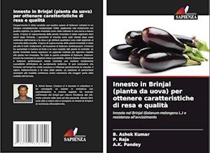 Innesto in Brinjal (pianta da uova) per ottenere caratteristiche di resa e qualità