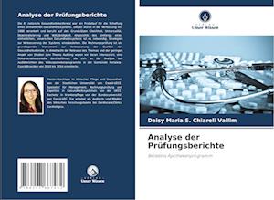 Analyse der Prüfungsberichte