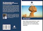 Die Dokumentation und Charakterisierung der Felskunst im Chiremba-Gebiet