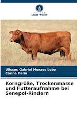 Korngröße, Trockenmasse und Futteraufnahme bei Senepol-Rindern