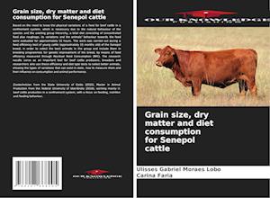 Grain size, dry matter and diet consumption for Senepol cattle