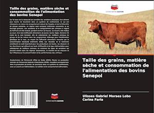 Taille des grains, matière sèche et consommation de l'alimentation des bovins Senepol