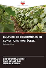 CULTURE DE CONCOMBRES EN CONDITIONS PROTÉGÉES